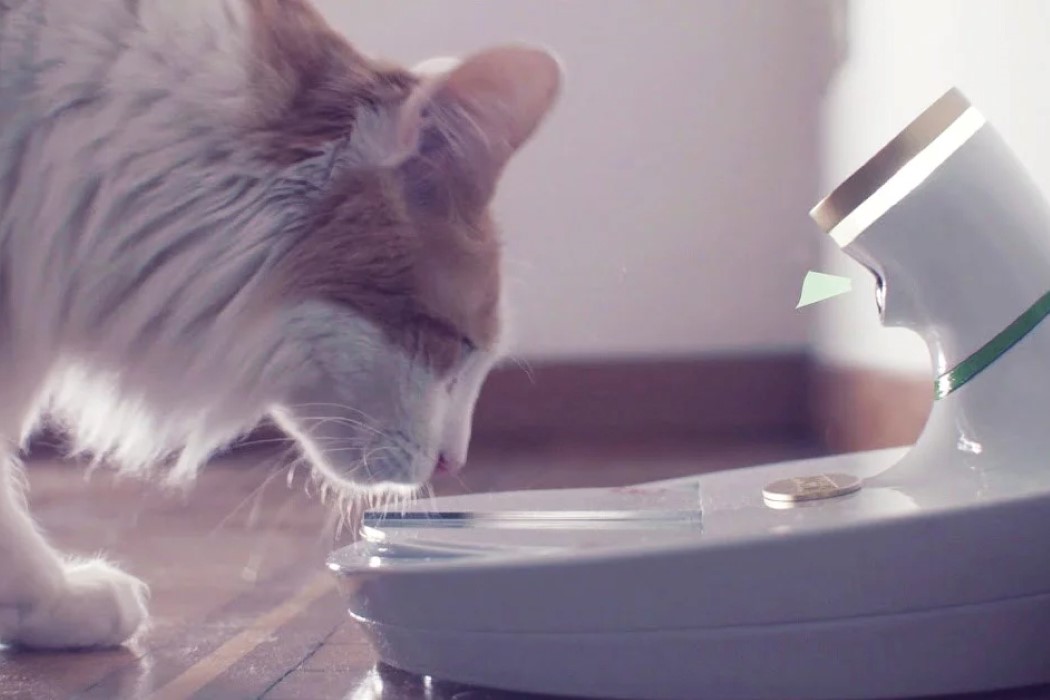 智能宠物喂食碗设计,宠物用品设计