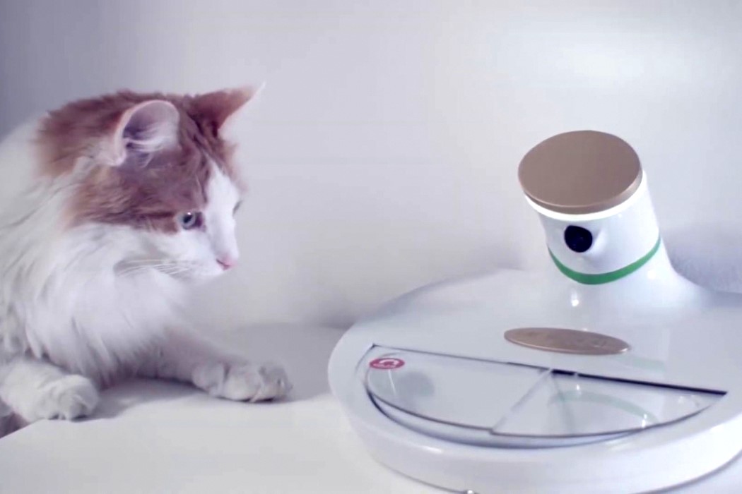 智能宠物喂食碗设计,宠物用品设计